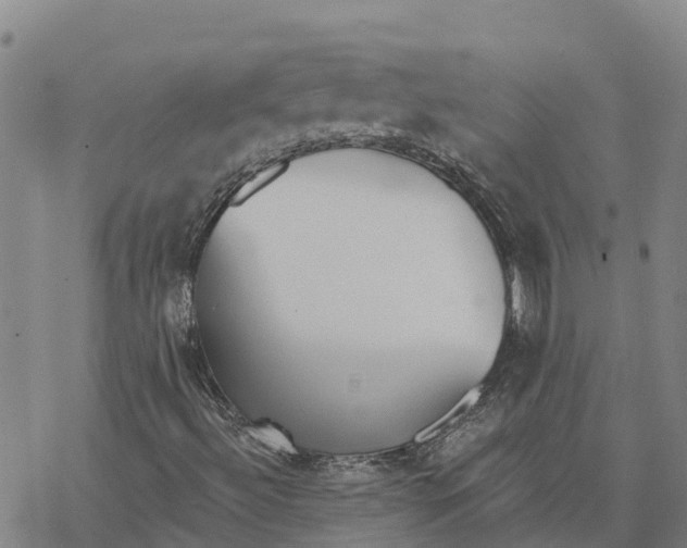 X0000076421492200610271655