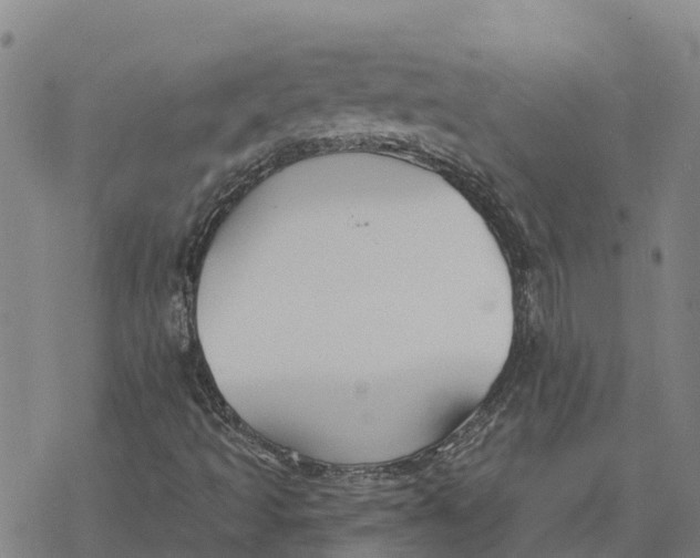 X0000076421493200610271655