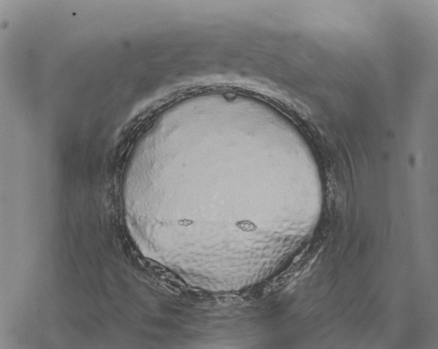 X0000076421494200610271655