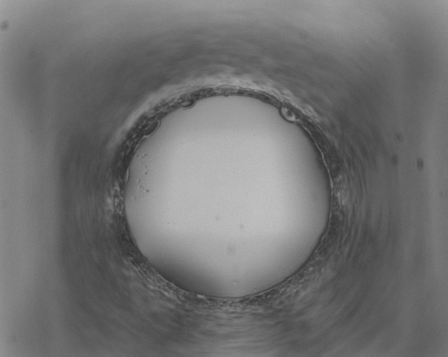 X0000076421495200610271655