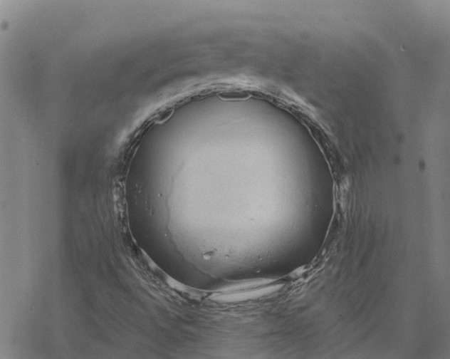 X0000076421496200610271655