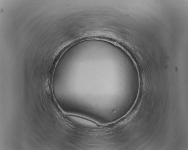 X0000076421497200610271655