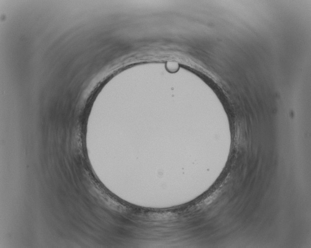 X0000076421498200610271655