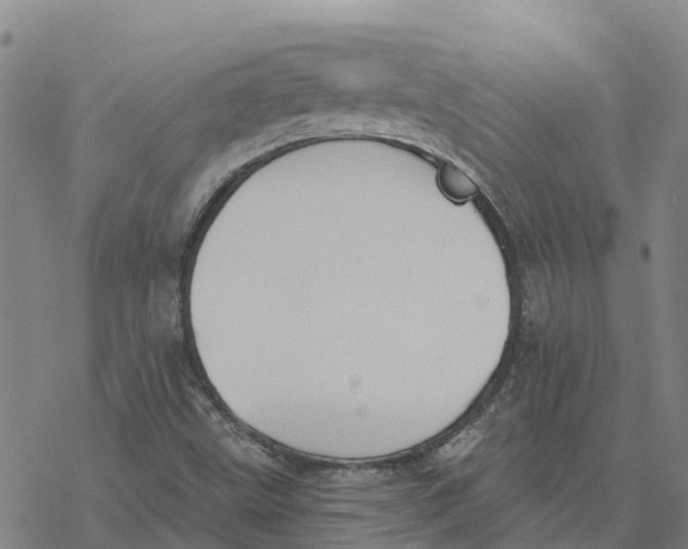 X0000076421499200610271655