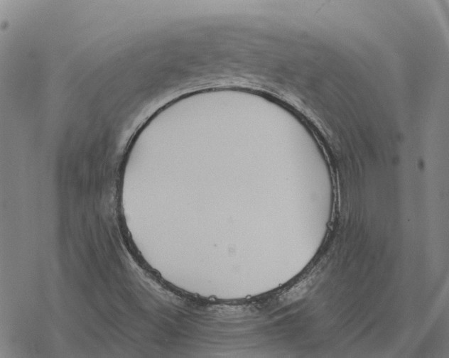 X0000076421500200610271655