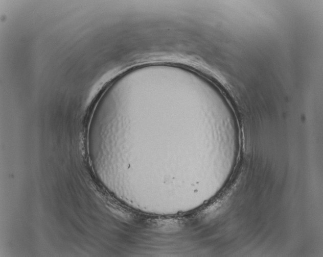 X0000076421501200610271655