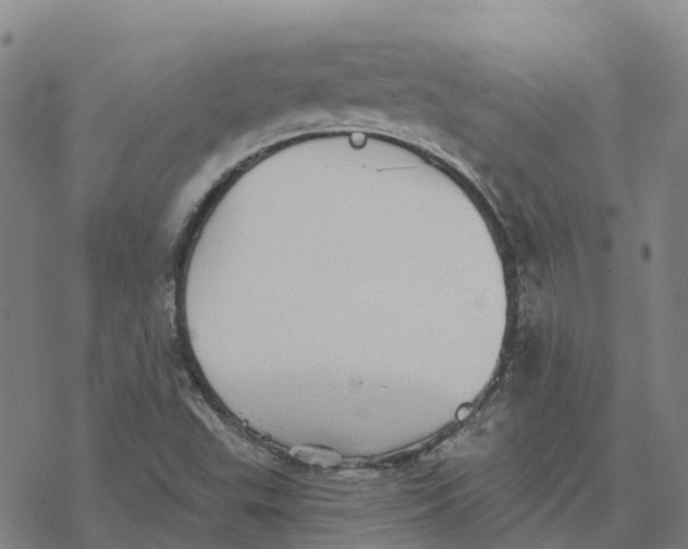 X0000076421503200610271655