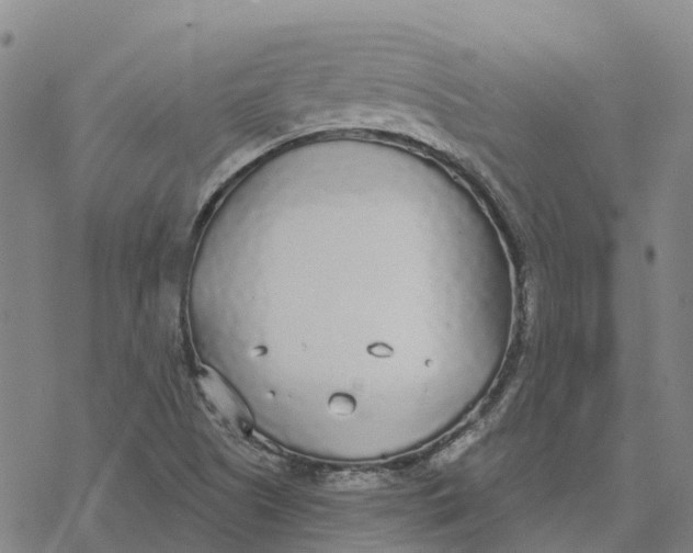 X0000076421505200610271655