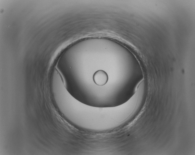 X0000076421506200610271655