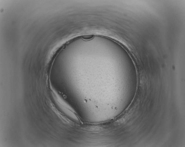 X0000076421507200610271655