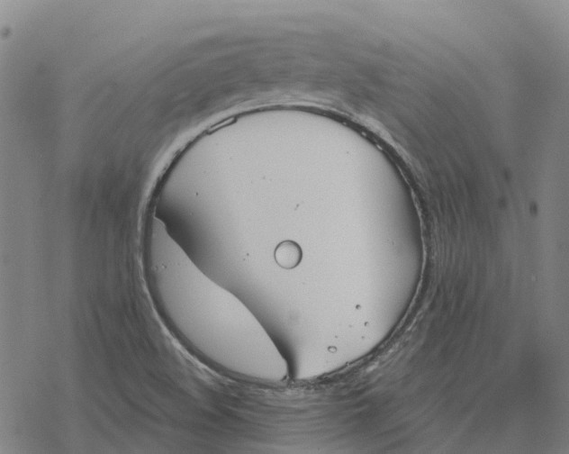 X0000076421508200610271655