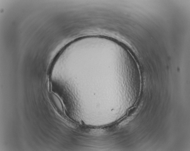 X0000076421509200610271655