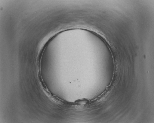 X0000076421511200610271655