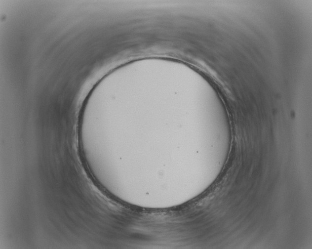 X0000076421512200610271655