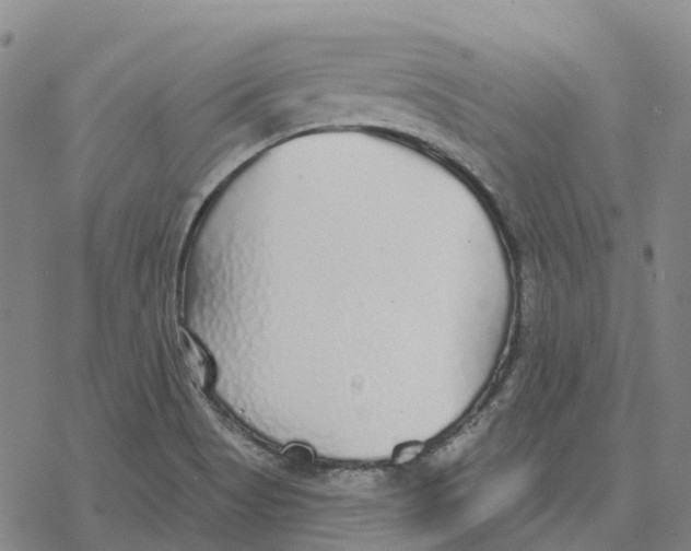 X0000076421513200610271655