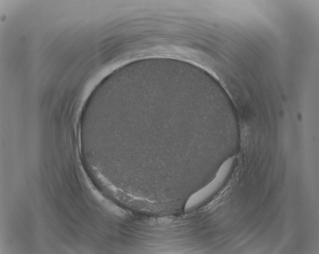 X0000076421515200610271655