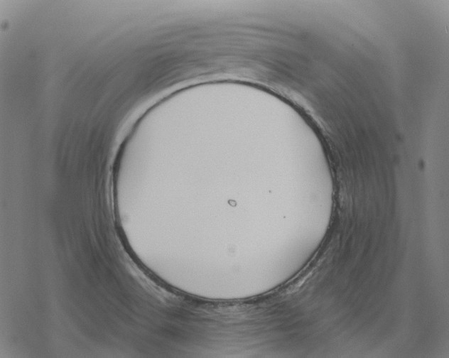 X0000076421516200610271655