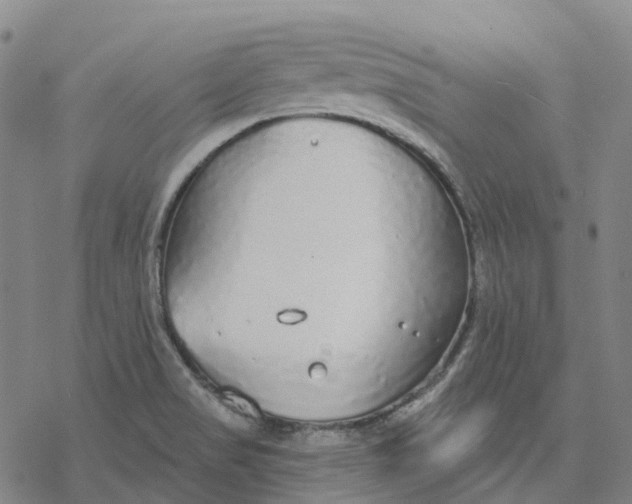 X0000076421517200610271655