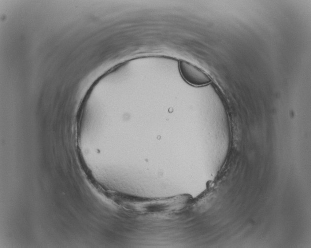 X0000076421519200610271655