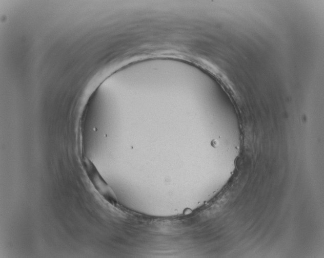 X0000076421520200610271655