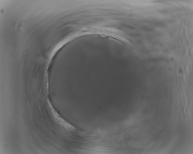 X0000076421522200610271655