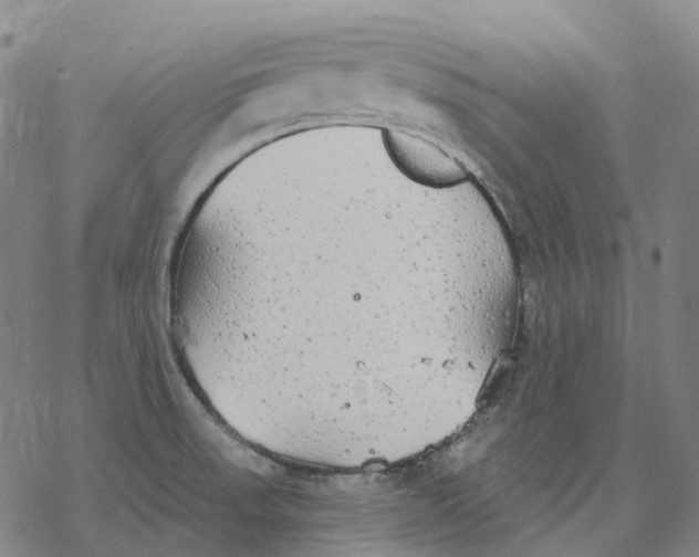 X0000076421523200610271655