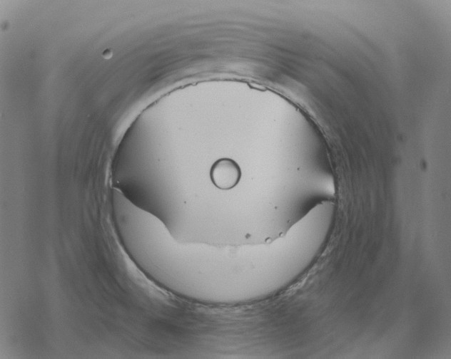 X0000076421524200610271655