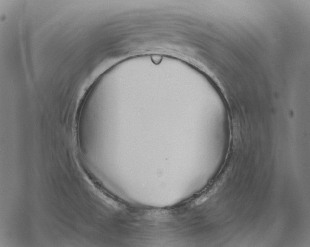 X0000076421525200610271655