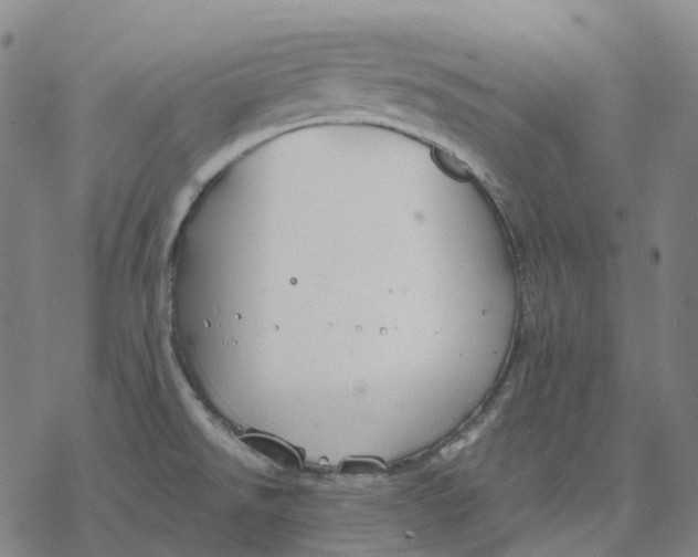 X0000076421526200610271655