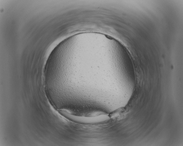 X0000076421527200610271655