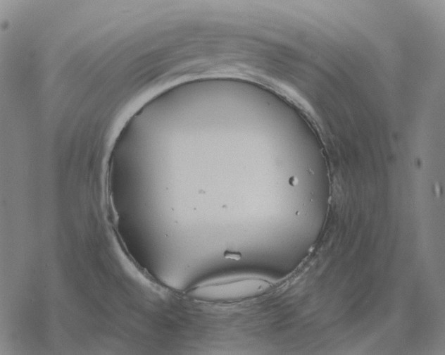 X0000076421528200610271655