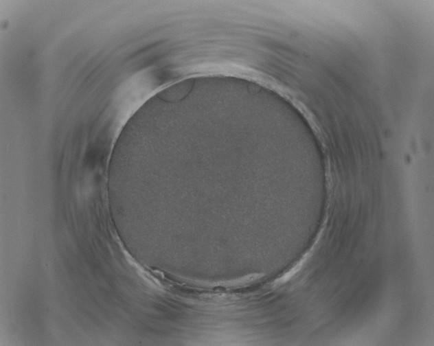 X0000076421529200610271655