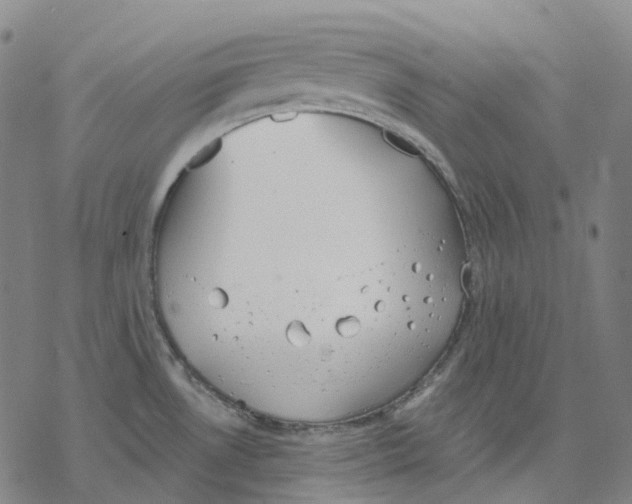 X0000076421530200610271655