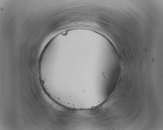 X0000076421531200610271655