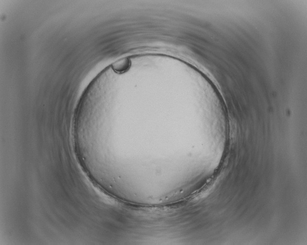 X0000076421533200610271655