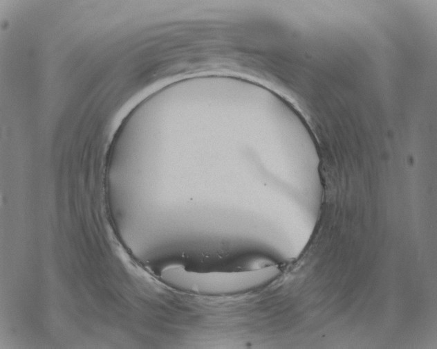 X0000076421534200610271655