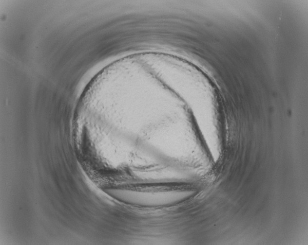 X0000076421535200610271655