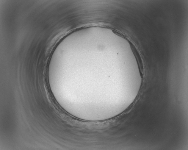 X0000076420001200611031825