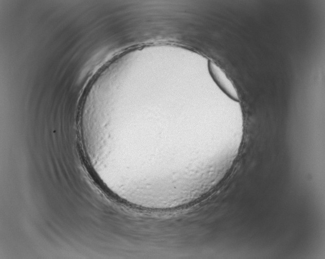 X0000076420002200611031825