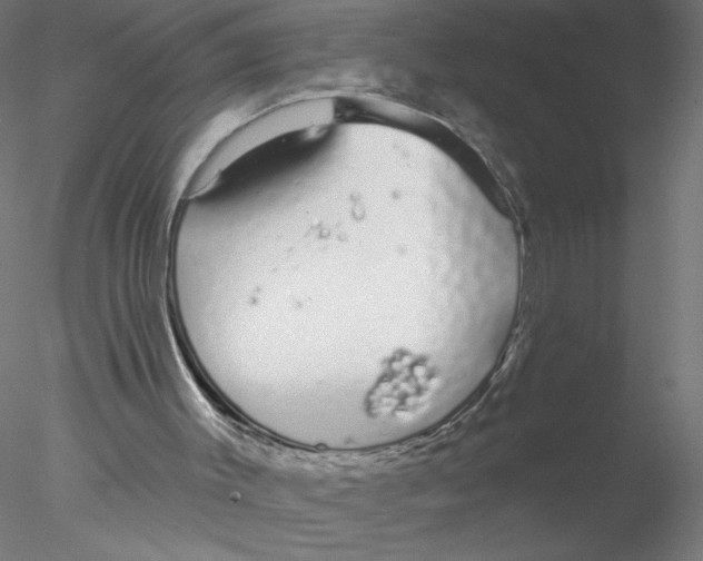 X0000076420003200611031825