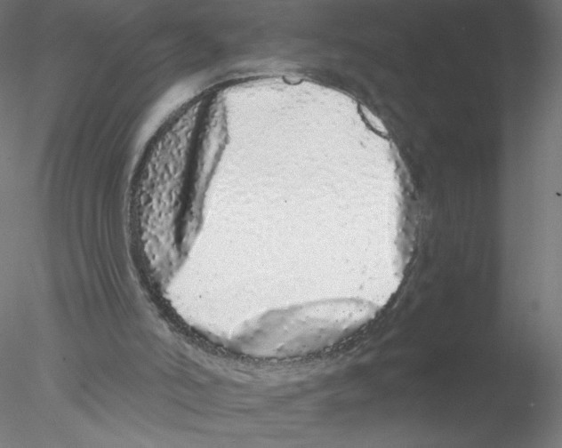 X0000076420006200611031825