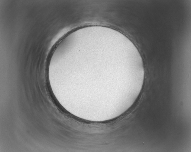 X0000076420008200611031825