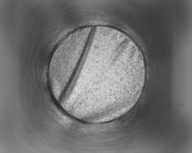 X0000076420009200611031825