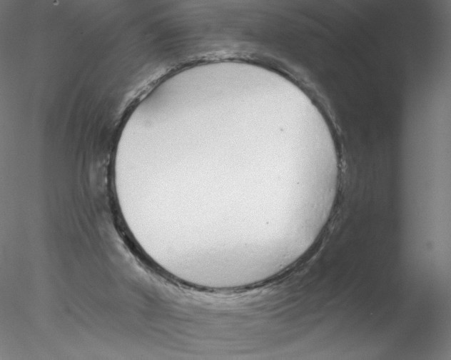 X0000076420010200611031825