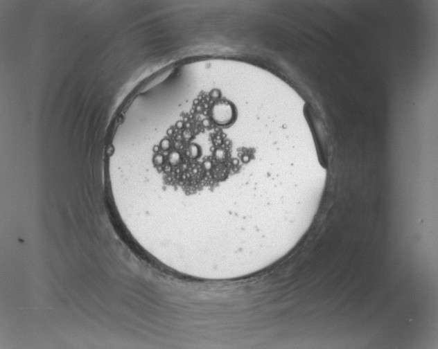 X0000076420011200611031825