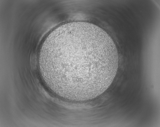 X0000076420012200611031825