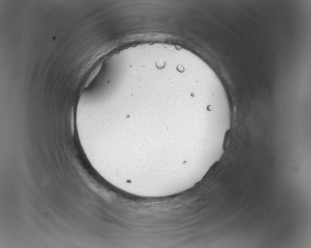 X0000076420013200611031825