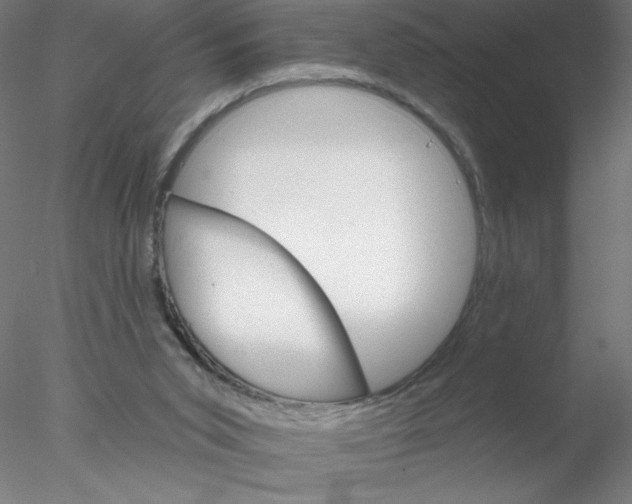 X0000076420015200611031825