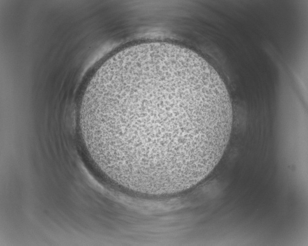 X0000076420016200611031825