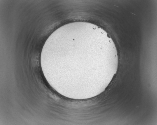 X0000076420017200611031825